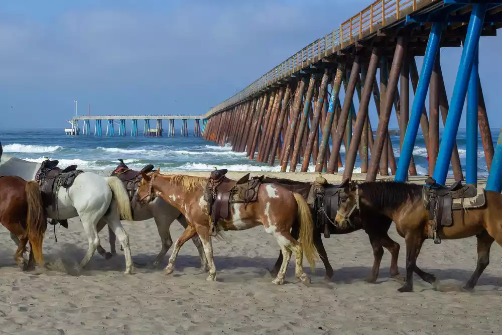 Rosarito outdoor activities