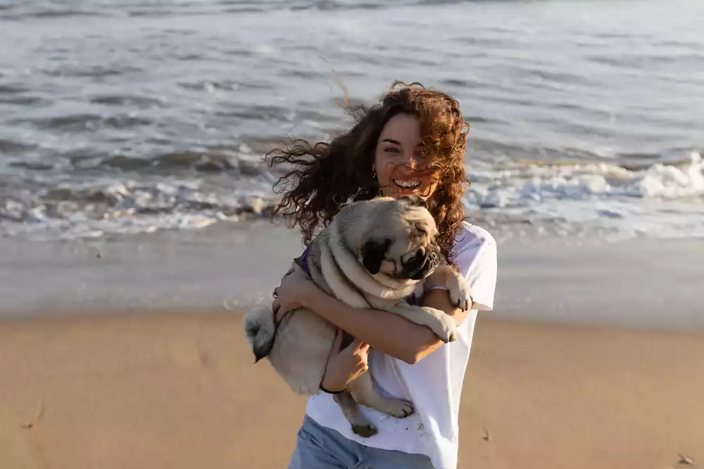 Embrace the Best of Pet-Friendly Living in Rosarito 4 Pet friendly living zone