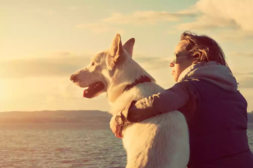pet-friendly living
