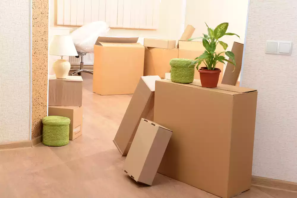 Stress Free Moving Tips and Strategies for Every Home 2 Compile Essential Packing Supplies