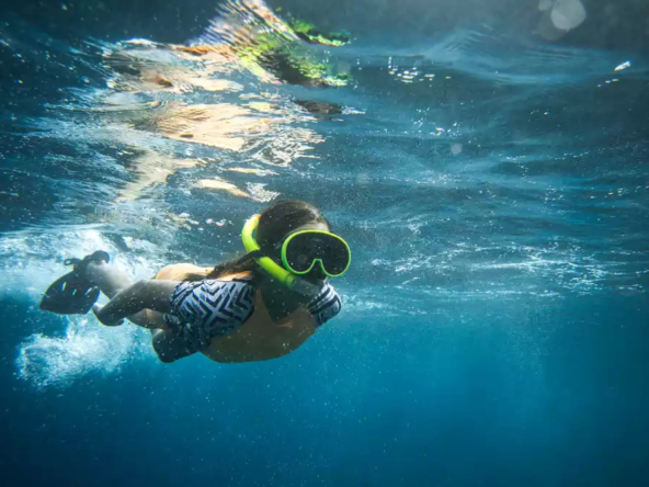 snorkeling in Rosarito
