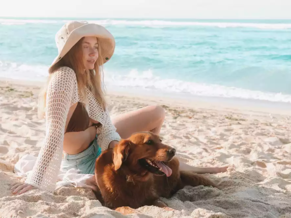 moving to Mexico with a dog