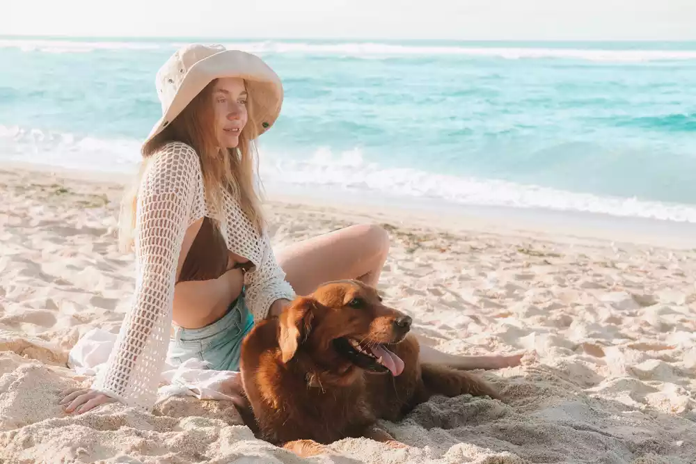 moving to Mexico with a dog