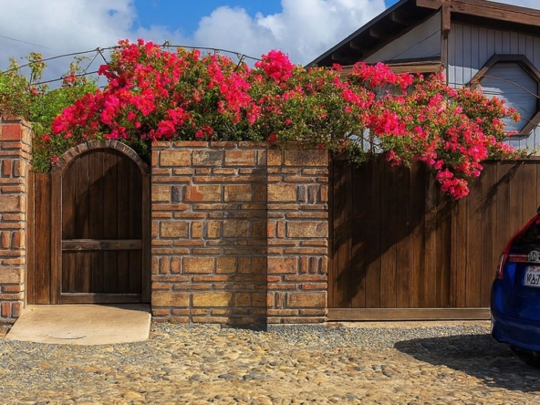 WhatsApp Image 2026 02 17 at 3.05b