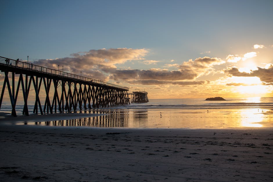 pexels photo 30395535