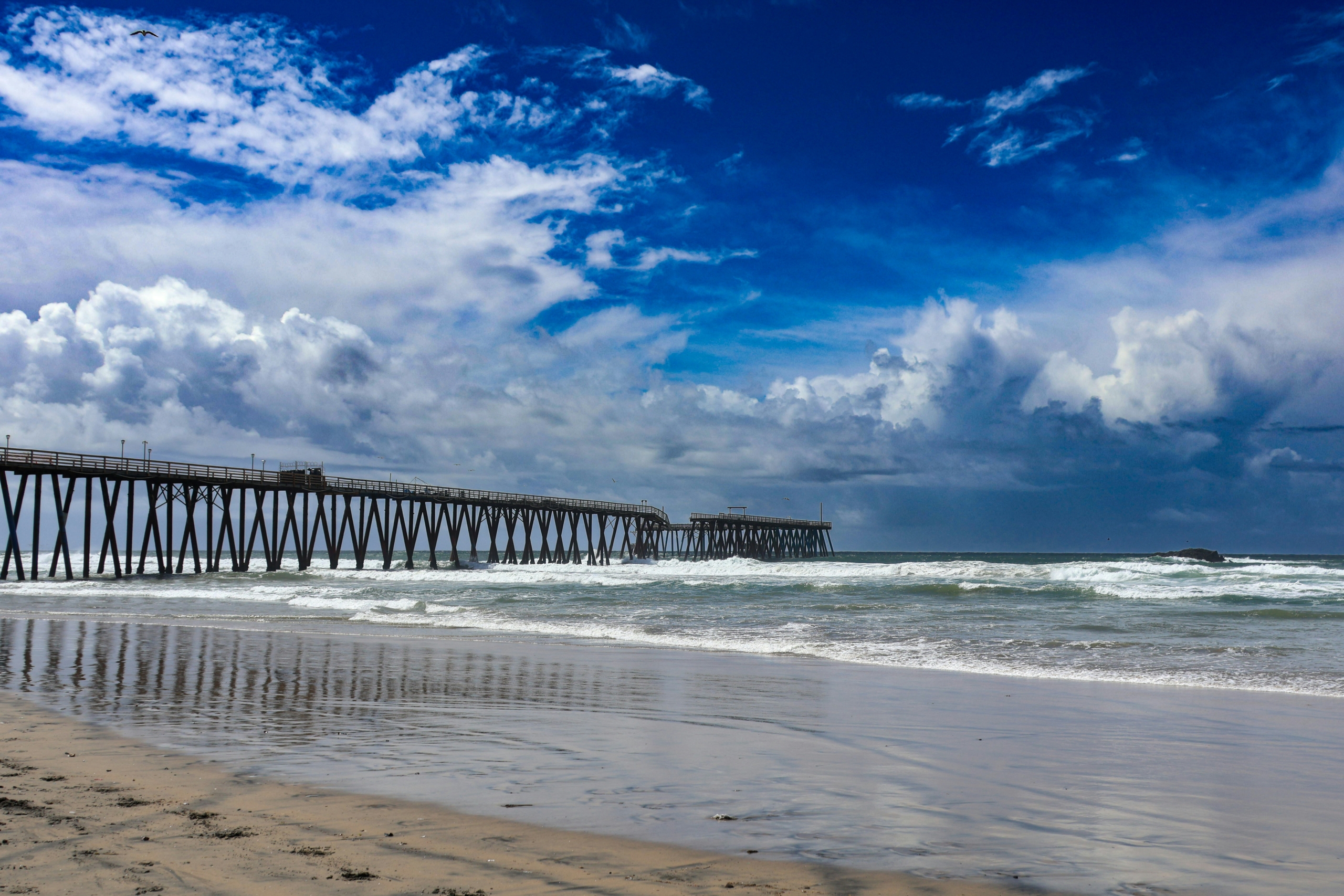 seasonal activities in Rosarito