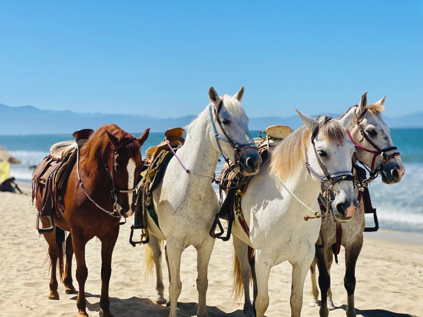 A first-timer's guide to vacationing in Rosarito 2 pexels photo 27333208